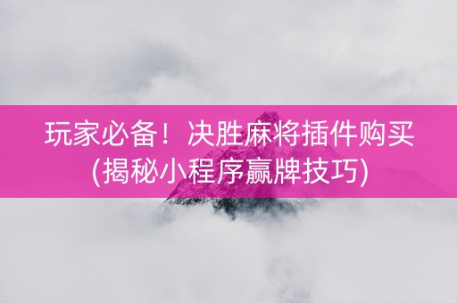 玩家必备！决胜麻将插件购买(揭秘小程序赢牌技巧)