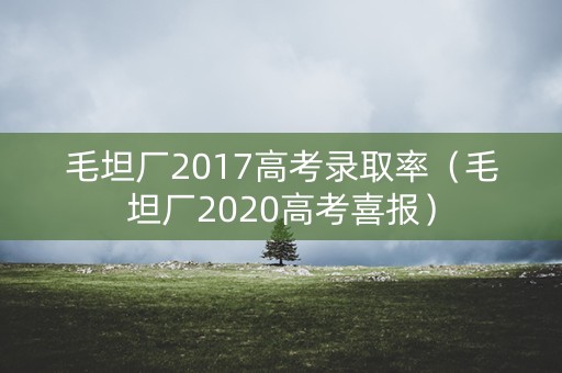 毛坦厂2017高考录取率（毛坦厂2020高考喜报）
