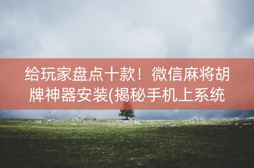 给玩家盘点十款！微信麻将胡牌神器安装(揭秘手机上系统发好牌)