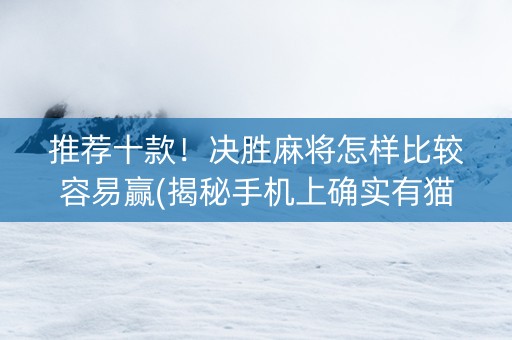 推荐十款！决胜麻将怎样比较容易赢(揭秘手机上确实有猫腻)