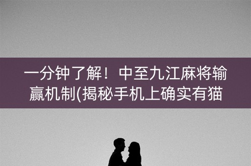 一分钟了解！中至九江麻将输赢机制(揭秘手机上确实有猫腻)