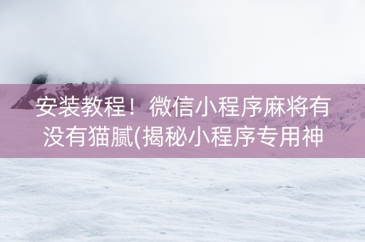 安装教程！微信小程序麻将有没有猫腻(揭秘小程序专用神器下载)