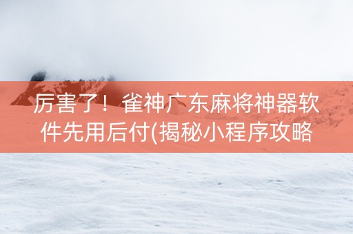 厉害了！雀神广东麻将神器软件先用后付(揭秘小程序攻略插件)