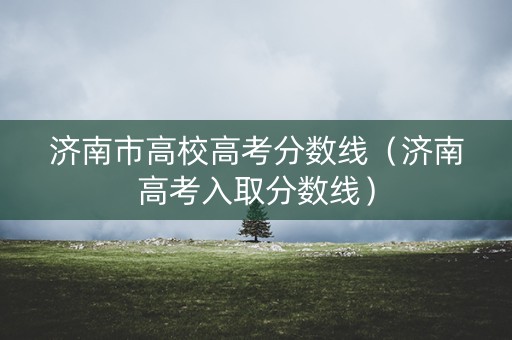 济南市高校高考分数线（济南高考入取分数线）