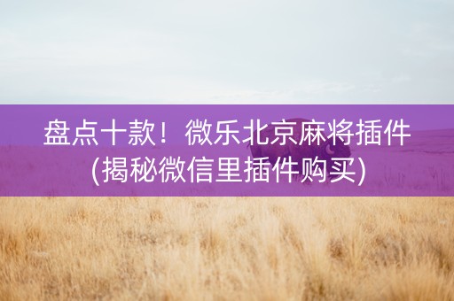 盘点十款！微乐北京麻将插件(揭秘微信里插件购买)