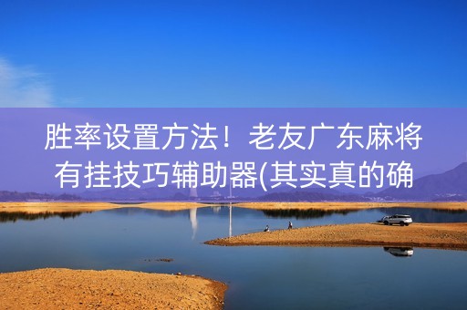 胜率设置方法！老友广东麻将有挂技巧辅助器(其实真的确实有挂)