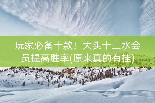 玩家必备十款！大头十三水会员提高胜率(原来真的有挂)