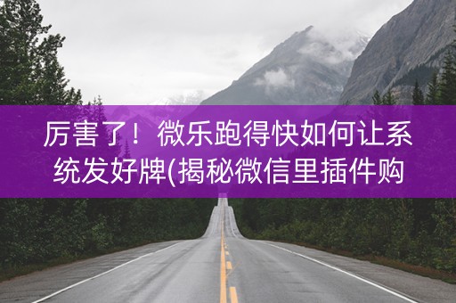 厉害了！微乐跑得快如何让系统发好牌(揭秘微信里插件购买)