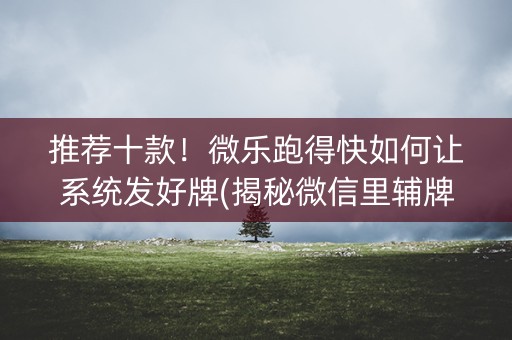 推荐十款！微乐跑得快如何让系统发好牌(揭秘微信里辅牌器)