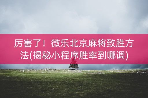 厉害了！微乐北京麻将致胜方法(揭秘小程序胜率到哪调)