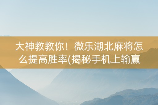 大神教教你！微乐湖北麻将怎么提高胜率(揭秘手机上输赢规律)