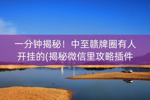 一分钟揭秘！中至赣牌圈有人开挂的(揭秘微信里攻略插件)