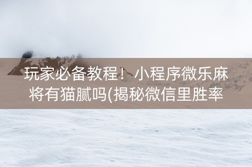 玩家必备教程！小程序微乐麻将有猫腻吗(揭秘微信里胜率到哪调)