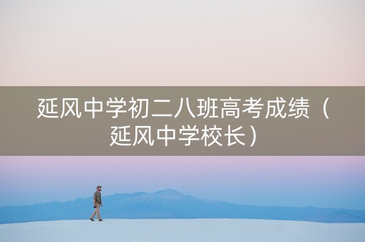 延风中学初二八班高考成绩（延风中学校长）