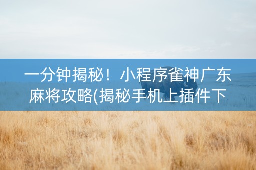 一分钟揭秘！小程序雀神广东麻将攻略(揭秘手机上插件下载)