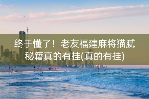 终于懂了！老友福建麻将猫腻秘籍真的有挂(真的有挂)