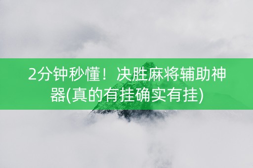2分钟秒懂！决胜麻将辅助神器(真的有挂确实有挂)