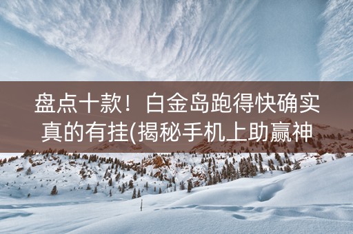 盘点十款！白金岛跑得快确实真的有挂(揭秘手机上助赢神器)