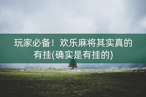 玩家必备！欢乐麻将其实真的有挂(确实是有挂的)