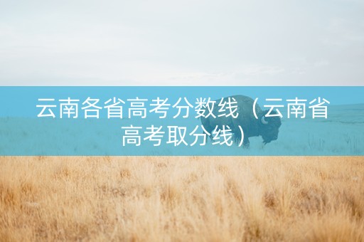 云南各省高考分数线（云南省高考取分线）