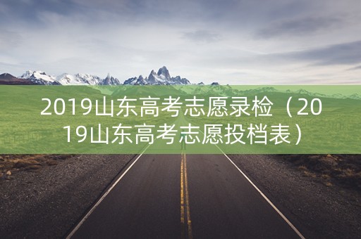2019山东高考志愿录检（2019山东高考志愿投档表）