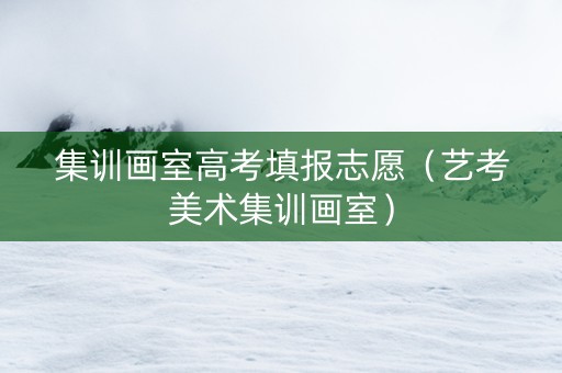 集训画室高考填报志愿（艺考美术集训画室）