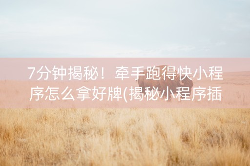 7分钟揭秘！牵手跑得快小程序怎么拿好牌(揭秘小程序插件免费)