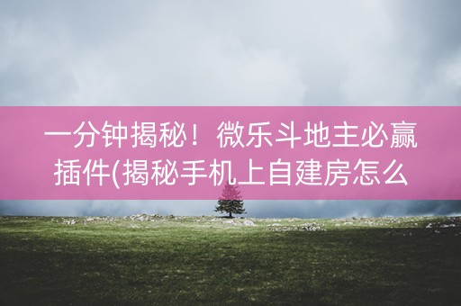 一分钟揭秘！微乐斗地主必赢插件(揭秘手机上自建房怎么赢)