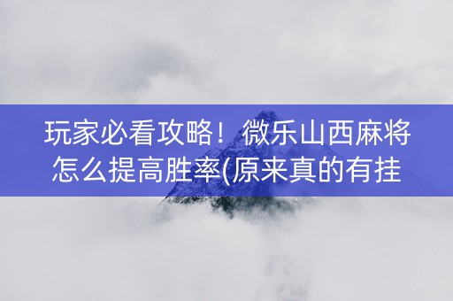 玩家必看攻略！微乐山西麻将怎么提高胜率(原来真的有挂)