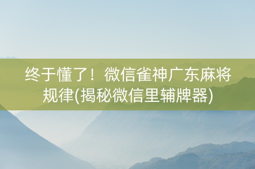 终于懂了！微信雀神广东麻将规律(揭秘微信里辅牌器)