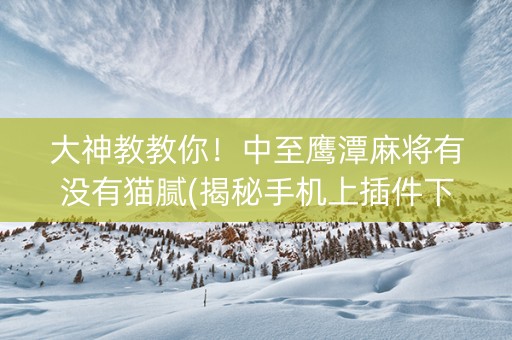 大神教教你！中至鹰潭麻将有没有猫腻(揭秘手机上插件下载)