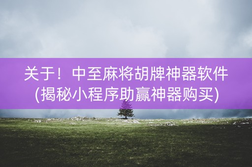 关于！中至麻将胡牌神器软件(揭秘小程序助赢神器购买)