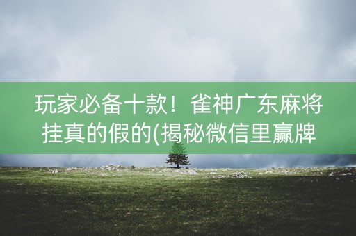 玩家必备十款！雀神广东麻将挂真的假的(揭秘微信里赢牌技巧)