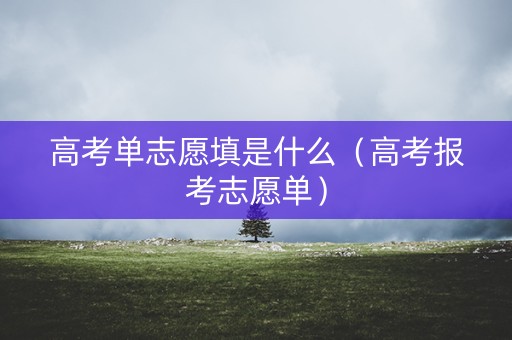 高考单志愿填是什么（高考报考志愿单）