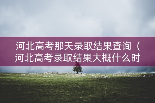 河北高考那天录取结果查询（河北高考录取结果大概什么时间可以查）
