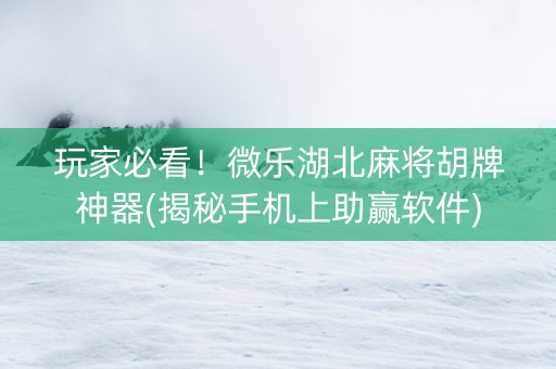玩家必看！微乐湖北麻将胡牌神器(揭秘手机上助赢软件)