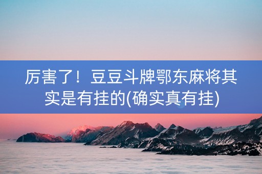 厉害了！豆豆斗牌鄂东麻将其实是有挂的(确实真有挂)