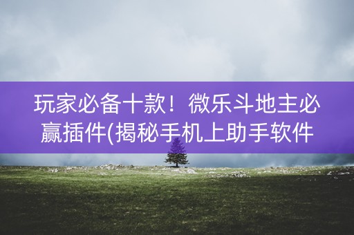 玩家必备十款！微乐斗地主必赢插件(揭秘手机上助手软件)