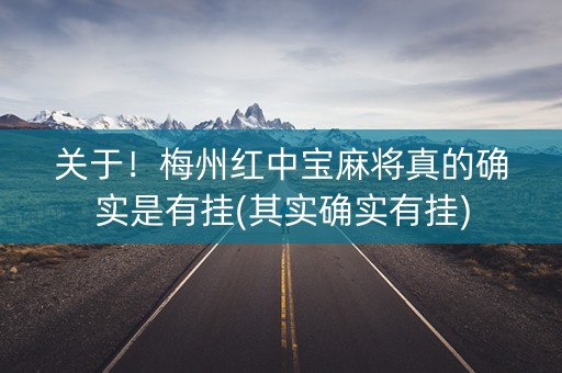 关于！梅州红中宝麻将真的确实是有挂(其实确实有挂)
