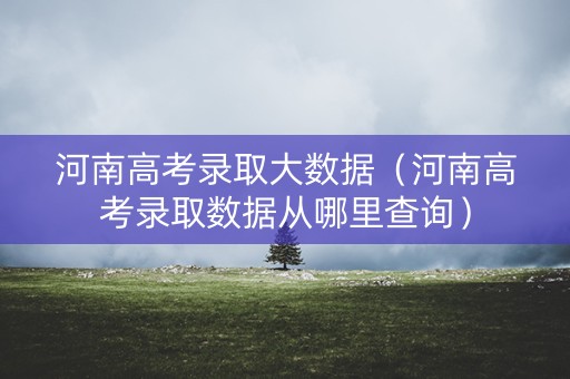 河南高考录取大数据（河南高考录取数据从哪里查询）