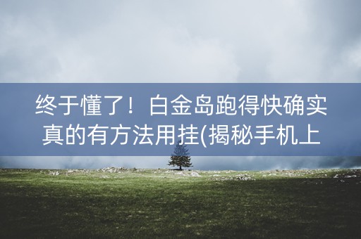 终于懂了！白金岛跑得快确实真的有方法用挂(揭秘手机上提高赢的概率)