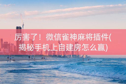 厉害了！微信雀神麻将插件(揭秘手机上自建房怎么赢)