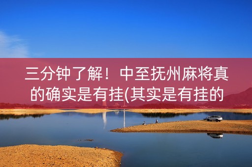 三分钟了解！中至抚州麻将真的确实是有挂(其实是有挂的)