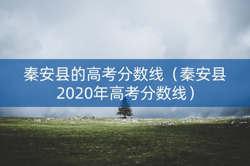秦安县的高考分数线（秦安县2020年高考分数线）