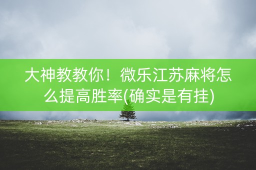 大神教教你！微乐江苏麻将怎么提高胜率(确实是有挂)