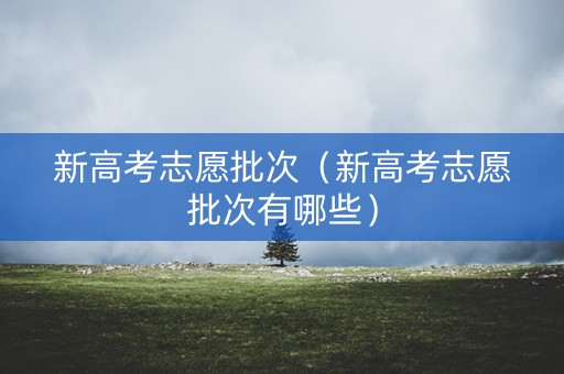 新高考志愿批次（新高考志愿批次有哪些）