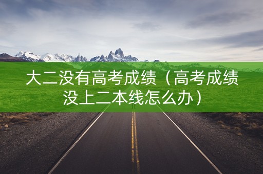 大二没有高考成绩（高考成绩没上二本线怎么办）
