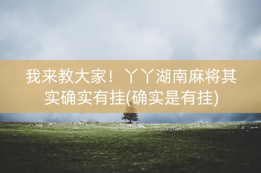 我来教大家！丫丫湖南麻将其实确实有挂(确实是有挂)