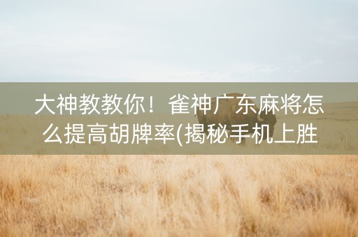 大神教教你！雀神广东麻将怎么提高胡牌率(揭秘手机上胜率到哪调)