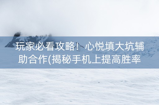 玩家必看攻略！心悦填大坑辅助合作(揭秘手机上提高胜率)